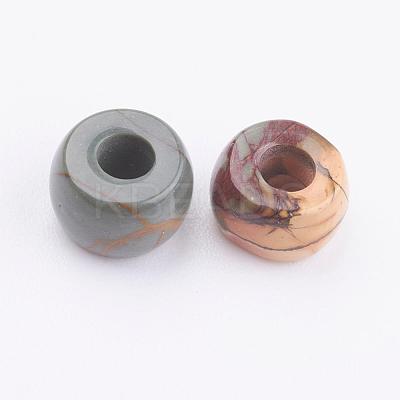 Natural Polychrome Jasper/Picasso Stone/Picasso Jasper Beads G-K216-04A-1