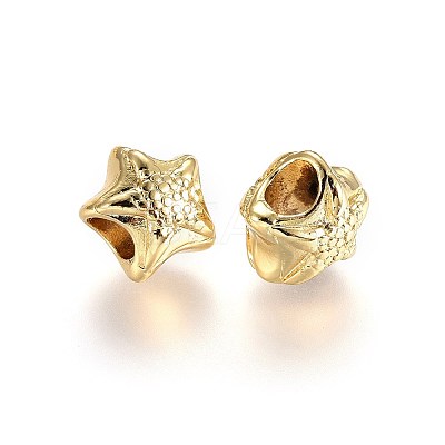 Alloy Beads TIBEB-A004-010G-NR-1