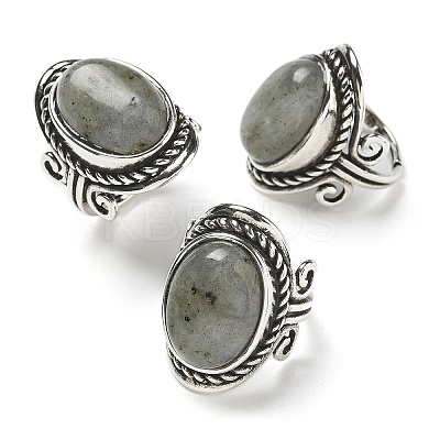 Natural Labradorite Adjustable Rings RJEW-I108-01AS-03-1