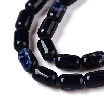 Natural Sodalite Beads Strands G-G980-37A-1
