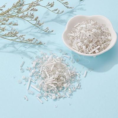 Glass Seed Beads X-SEED-S059-012-1
