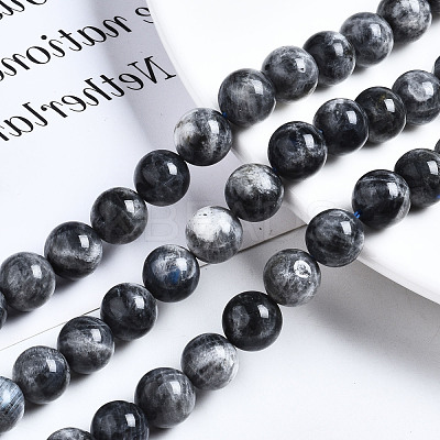 Natural Labradorite Beads Strands G-N328-49D-01-1
