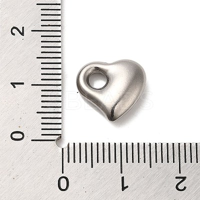 Non-Tarnish 304 Stainless Steel Charms STAS-R223-01A-1