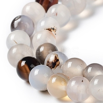 Natural Dendritic Agate Beads Strands G-D845-04-10mm-1