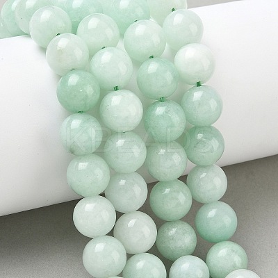 Dyed Natural Malaysia Jade Beads Strands G-G021-01D-11-1