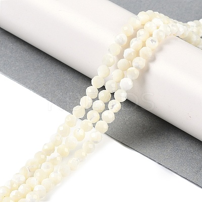 Shell Beads Strands SSHEL-E571-38-4mm-1