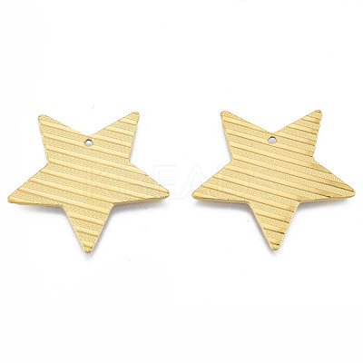 Ion Plating(IP) 304 Stainless Steel Pendants STAS-N098-194LG-1