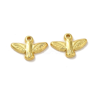 304 Stainless Steel Charms LS-STAS-Q322-19G-1