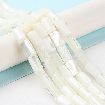 Natural Trochus Shell Beads Strands BSHE-Z003-18-1