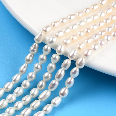 Natural Cultured Freshwater Pearl Beads Strands PEAR-N012-04G-1