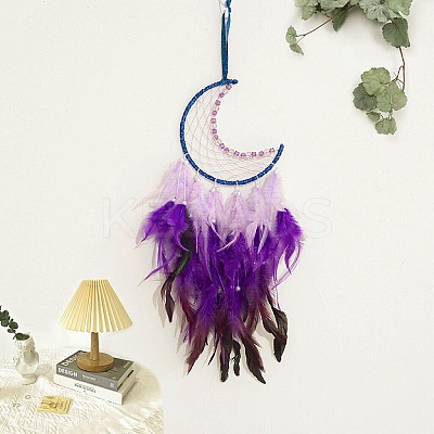Moon Woven Net/Web with Feather Pendant Decoration HJEW-I013-03-1