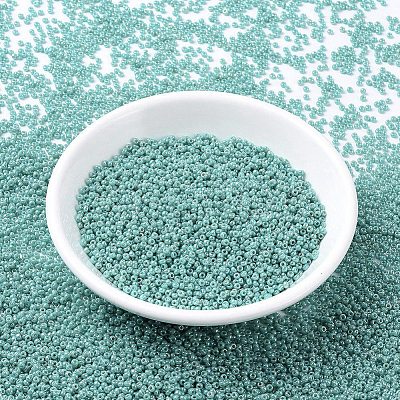 MIYUKI Round Rocailles Beads SEED-G007-RR0481-1