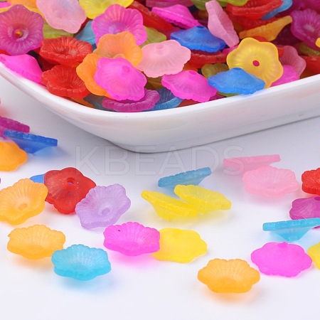 Transparent Acrylic Beads PAF087Y-1