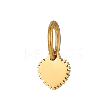 304 Stainless Steel Charms STAS-OY009-71G-1