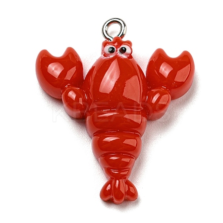 Opaque Resin Imitation Food Pendants LS-CRES-D019-01D-1