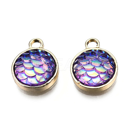 Alloy Resin Charms PALLOY-T056-24C-1