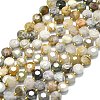 Natural Bamboo Leaf Agate Beads Strands G-C116-A91-01-2
