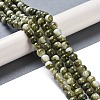 Baking Paint Glass Bead Strands GLAA-H031-01B-14-2