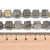 Natural Labradorite Beads Strands G-F832-A09-01-5