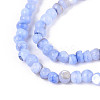 Natural Freshwater Shell Dyed Beads Strands SHEL-T020-29B-4