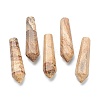 Natural Picture Jasper Pointed Beads G-E490-C29-1