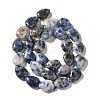 Natural Blue Spot Jasper Beads Strands G-I377-A12-3