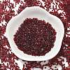Transparent Colours Glass Seed Beads SEED-H003-01A-2