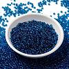MIYUKI Round Rocailles Beads X-SEED-G008-RR0149-2
