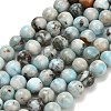 Natural Larimar Beads Strands G-L642-B19-6mm-2