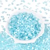 Drawbench Style Glass Seed Beads SEED-N008-10F-2