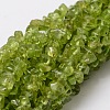 Natural Peridot Chip Bead Strands X-G-M298-12-1