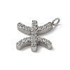 304 Stainless Steel Micro Pave Cubic Zirconia Charms STAS-Z107-09P-05-2