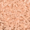 FGB Frosted Transparent Glass Seed Beads X-SEED-N013-05A-03-3