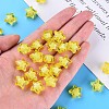 Transparent Acrylic Beads TACR-S152-02A-717-5