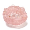 Resin Incense Burners DJEW-H012-01A-2
