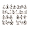 304 Stainless Steel Pendants STAS-S186-12-P01-1