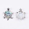 Abalone Shell/Paua Shell Pendants SSHEL-L008-14A-3