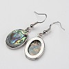 Oval Platinum Tone Brass Natural Paua Shell Dangle Earrings EJEW-M060-06-2