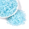 FGB Grade A Drawbench Style Glass Seed Beads SEED-Q040-01A-05-1