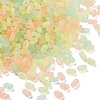 Luminous Transparent Acrylic Beads LACR-D009-01C-2