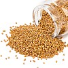 MIYUKI Delica Beads SEED-MY11-DB2303-1