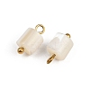 Natural Shell Column Charms STAS-D378-32G-2