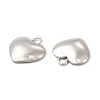 Non-Tarnish 304 Stainless Steel Charms LS-STAS-A070-30P-2
