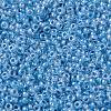 MIYUKI Round Rocailles Beads SEED-JP0010-RR0221-3