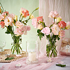 Transparent Glass Hydroponic Vase AJEW-WH0348-441B-5