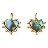 Synthetic Abalone Shell/Paua Shell Charms KK-N233-216-2