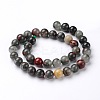 Natural African Bloodstone Beads Strands G-L383-06-10mm-2