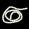 Natural Trochus Shell Beads Strands BSHE-E030-05B-3