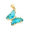Glass Pendants GLAA-G075-01G-07-1