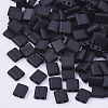 FGB 2-Hole Glass Seed Beads X-SEED-S031-L-049F-1